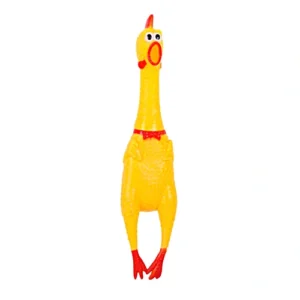 Pollo-chillon Pollo chillón